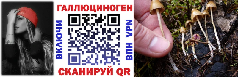 как найти закладки  blacksprut ТОР  Галлюциногенные грибы мухоморы  Константиновск 